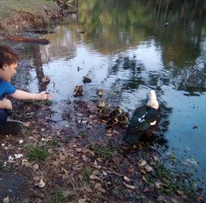 Meet your Posher, Susan